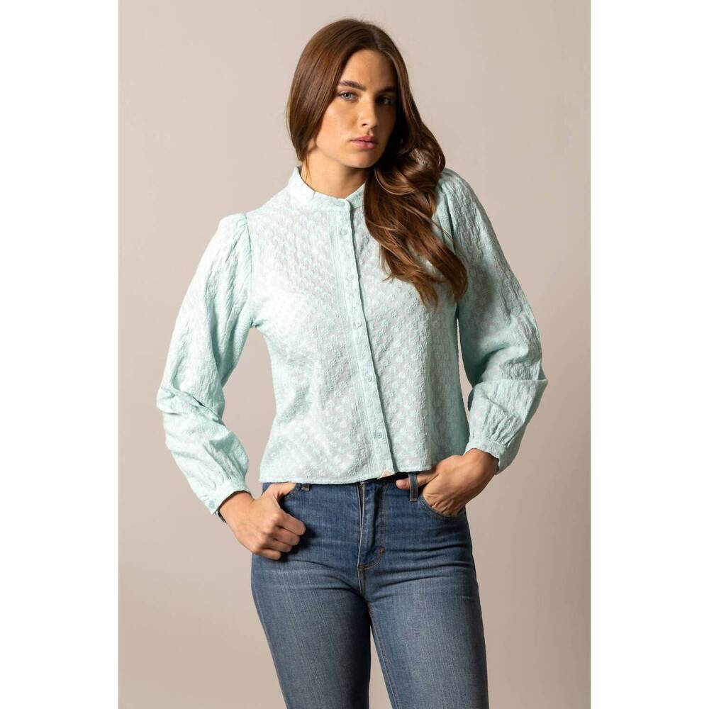 NEW KIMES RANCH daisychain long sleeve blouse in ice blue